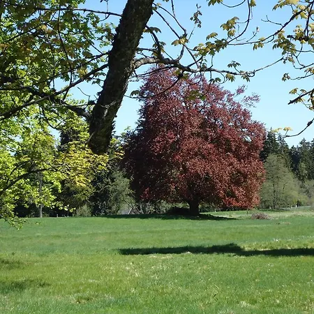 Forstamt Glatzen Kladska Lejlighed